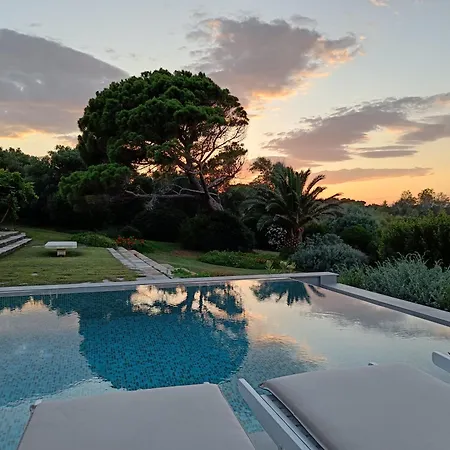 Summer In Villa