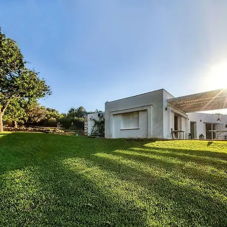 Villa Summer In Porto Rafti